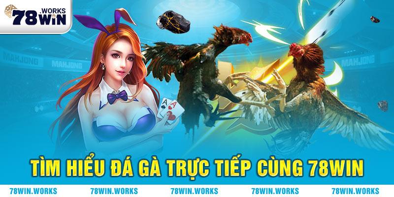Đá Gà 78WIN – Trang Đá Gà Trực Tuyến Uy Tín Nhất Châu Á