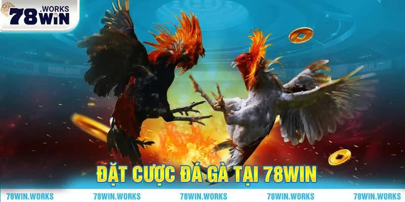 Tại sao nên tham gia đặt cược đổi thưởng đá gà 78WIN