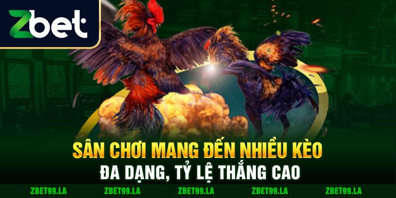 Ưu đãi hấp dẫn cho người chơi mới