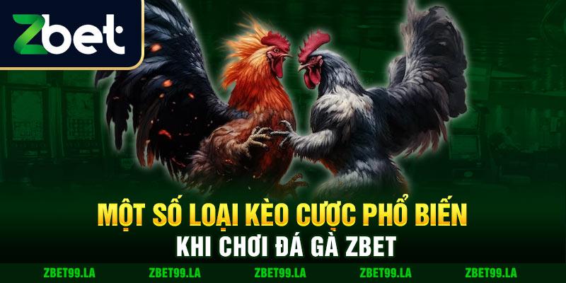 Hướng Dẫn Chi Tiết Cách Chơi Đá Gà Zbet Cho Người Mới Bắt Đầu