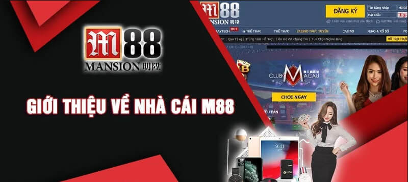 Cá cược trực tuyến M88 sự lựa chọn hoàn hảo cho người mới