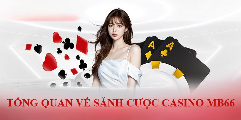 Hướng Dẫn Chi Tiết cách đọc Tỷ Lệ Kèo Nhà Cái Tại MB66
