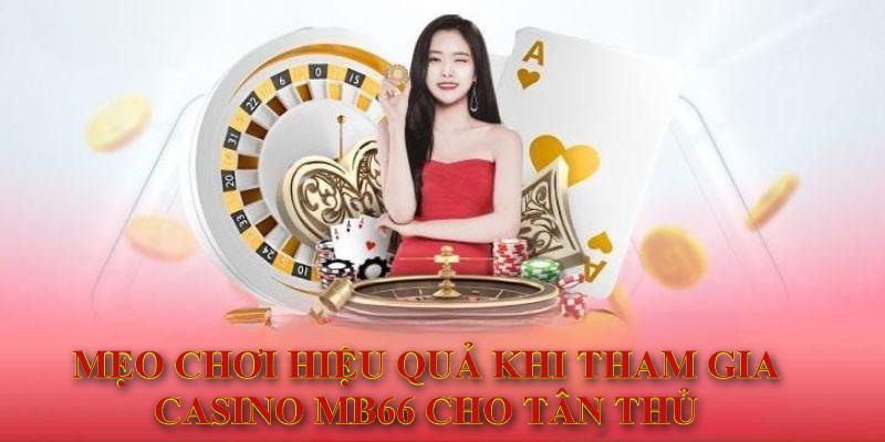 Cách chọn lựa tỷ lệ kèo nhà cái tại MB66