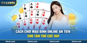 Dịch vụ hỗ trợ người chơi tại nhà cái 123win