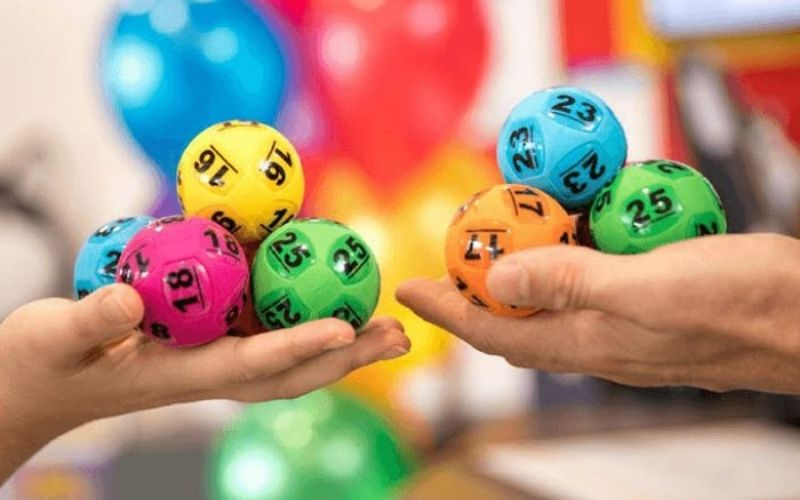 Cách chọn được đề kép để nuôi