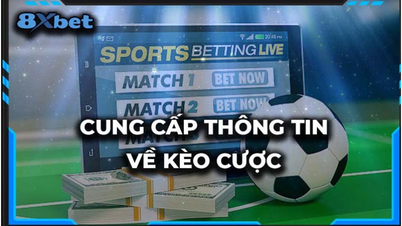 Trang website có nhiều ưu điểm nổi bật