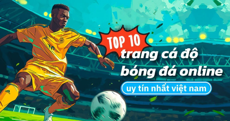 Đánh giá các tính năng, dịch vụ của các nhà cái cá cược uy tín