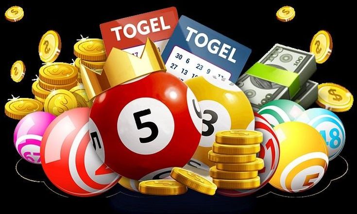 Tại sao nên nuôi dàn de 36 con từng ngày?