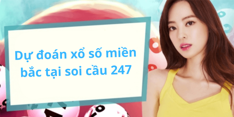 Dự đoán xổ số miền bắc tại soi cầu 247 – Những bí quyết giúp bạn chiến thắng